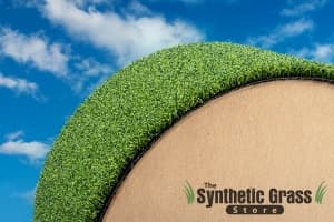 Pro Putt Series artificial grass